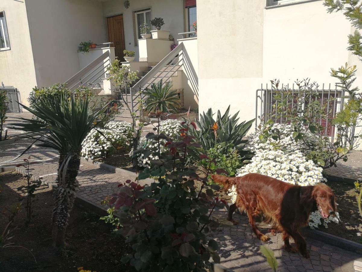 Area Domus Bed & Breakfast Pompei Bagian luar foto